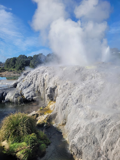 Te Puia Thermal Park