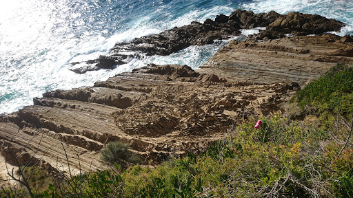 Illawong Nature Reserve - Thumbnail