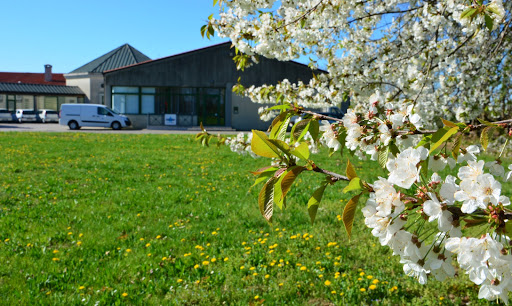 Piave Services srl