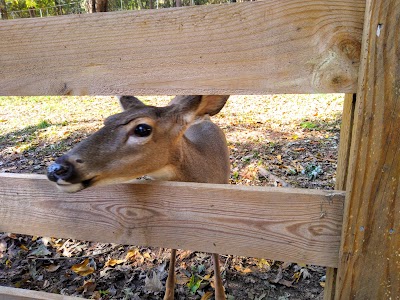 Chestatee Wildlife Preserve & Zoo