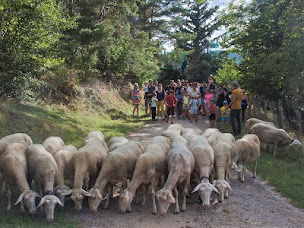 Photo n°3 de La ferme des Bergers des Chaupous à Lamastre (Producteur de bétail)