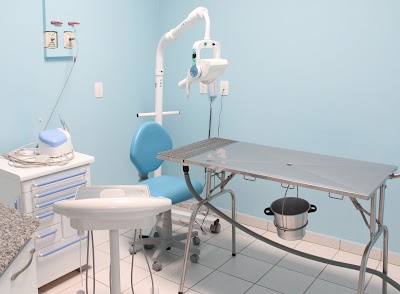 Photos of Guapeka Veterinary Clinic