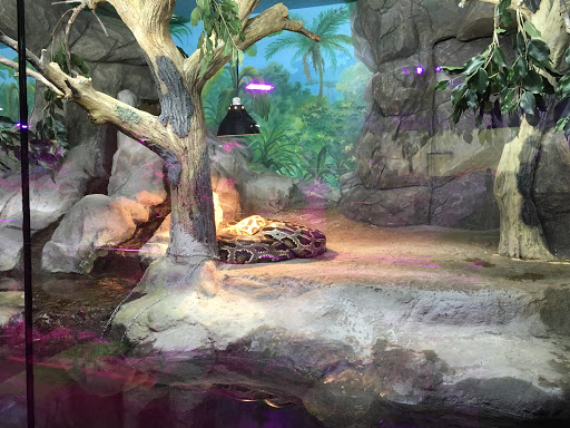 Ekzoopark - Visual