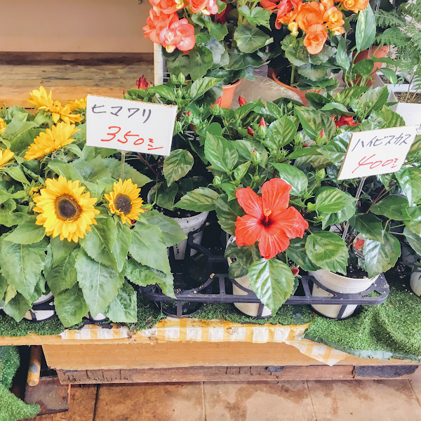 花の花家 東大阪市 若江岩田の花屋さん