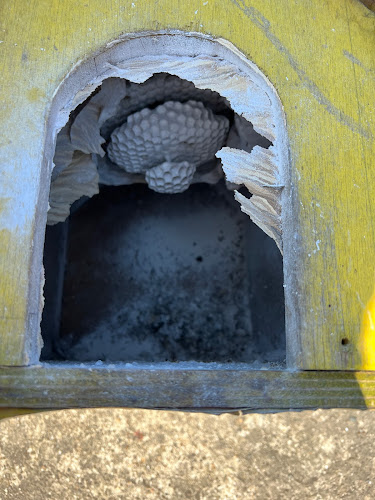 Opinii despre Société Tours Dératisation Désinsectisation Désinfection Indre et Loire în Tours - Autre