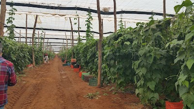 Photos of Afreur KENITRA