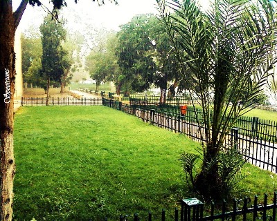 Photos of ‬‫ Faculty of Science