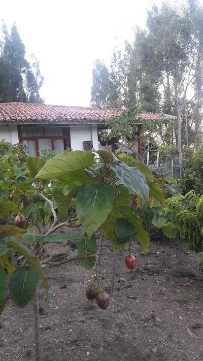 Photos of Posada Agroecologica Bochica Chalet.