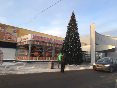 Photos of Посадоффест