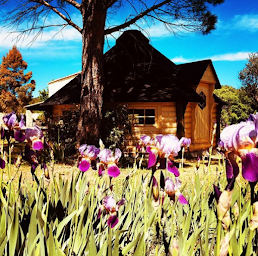Photo n°31 de La Chouette Villa à Cannes-et-Clairan (Chambre d'hôtes)