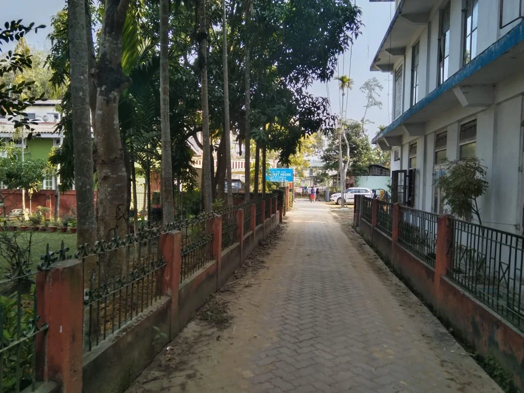 D K GUEST HOUSE / HOMESTAY - Food and Lodging