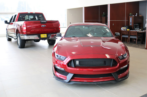 Lundgren Ford - Visual