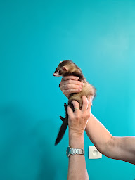 Photo n°20 de Clinique Veterinaire Lartigat à Avignonet-Lauragais (Vétérinaire)