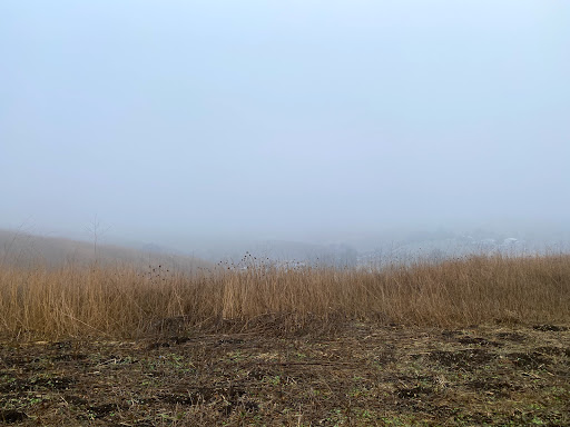 Crossfire Ranch - Visual