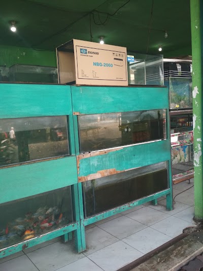 Photos of Ornamental Fish Studio