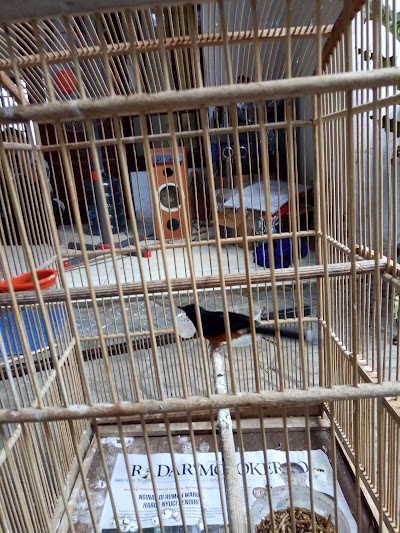 Photos of AaW Birdshop(Rinto) Jombang