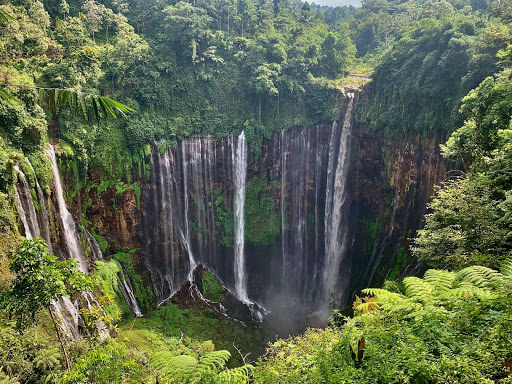 Indonesië reizen op maat - Thumbnail