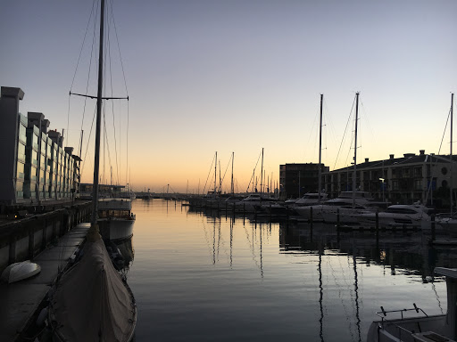 Auckland City Physio