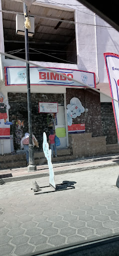 Bimbo Tepeaca - Visual