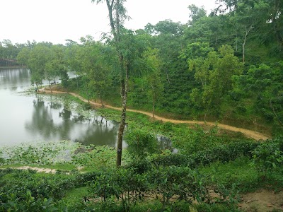 Photos of National Tea Company Limited, Tea Garden