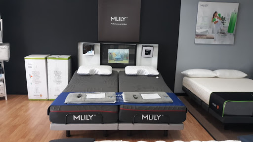 The Sleep Shop Gallery - United States