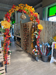 Photo n°44 de Fleurdepot Dury à Dury (Jardinerie)