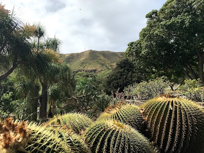 Kapiʻolani Community College