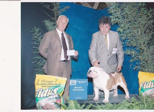 CLÍNICA VETERINARIA ANUBIS