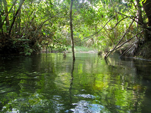 Place around image