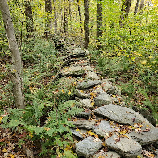 Beebe Hill State Forest - Thumbnail