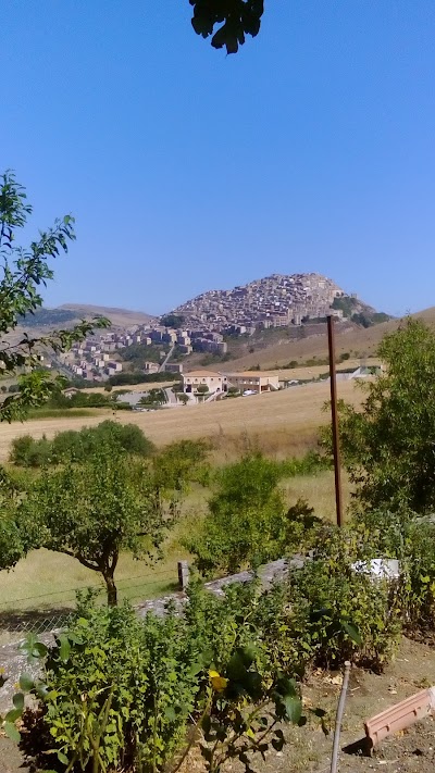 Photos of Cinematografo Aurum