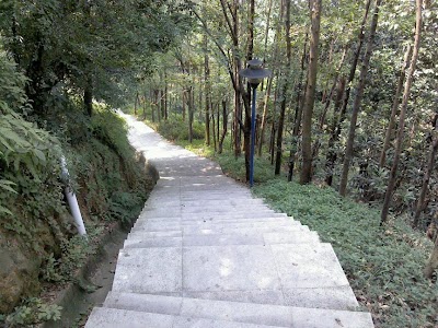 Photos of Fushengang Park （Northwest Gate）