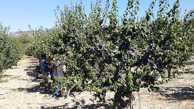 Photos of İshaklar İlkokulu