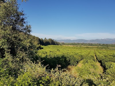 Photos of Colchagua Camp