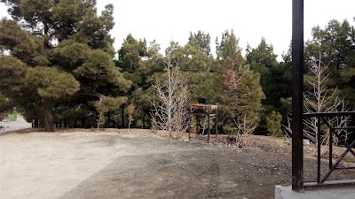Photos of South Yaas Forest Park