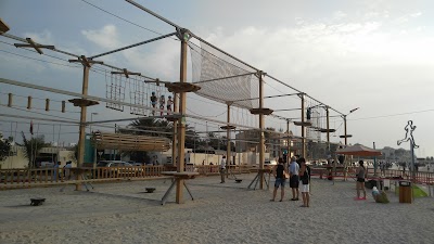 Photos of Wire World Adventure Parks