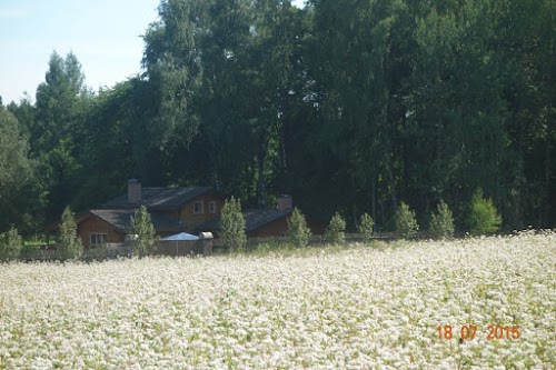 Homestead Vilkiškiai