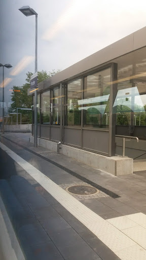 Profen Gallery - Germany