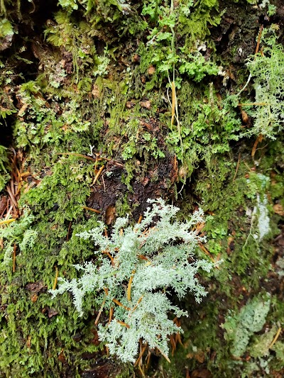 Woods Creek Trailhead