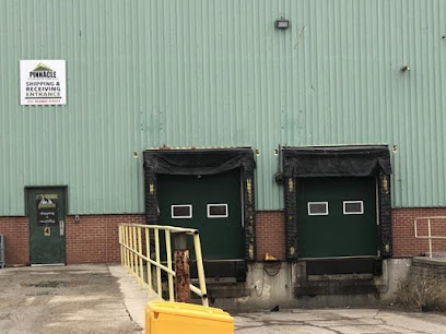 Pinnacle Storage & Services Ltd