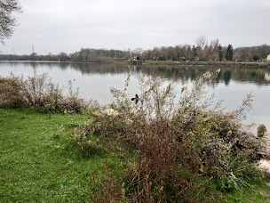 Photo n°16 de Carpiste à Saint-Cyr (Magasin)