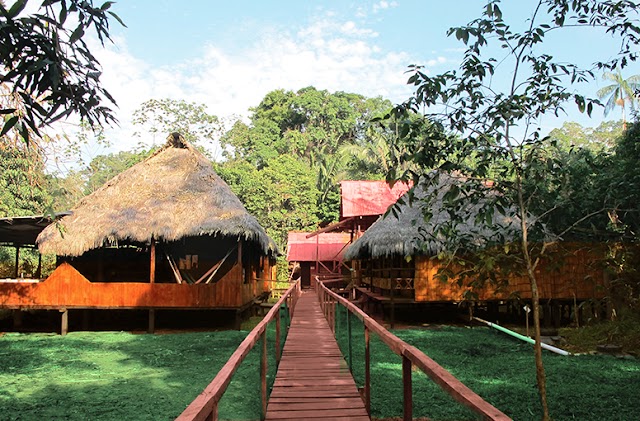Rainforest Amazon Jungle Tours Ecuador-IVAGATOUR