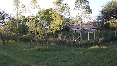 Photos of Nzola Farm