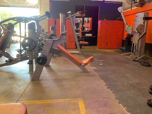 Mental fitness Gym Gallery - Mexico