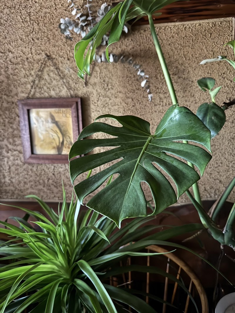 ボンツビ bon to be