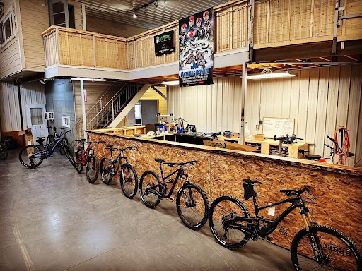 Epic Bike Store - Visual