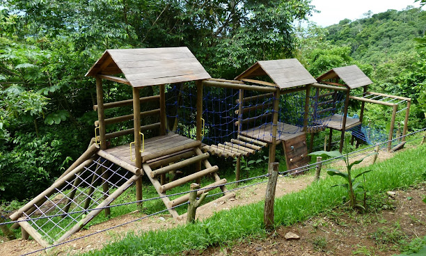 Aventura San Juan del Sur - Zipline Canopy Tour Park by null