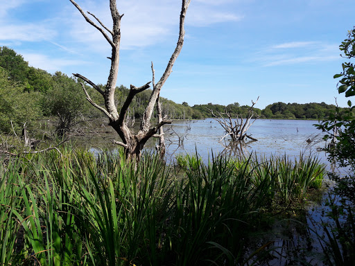 Marais de Suscinio - Thumbnail