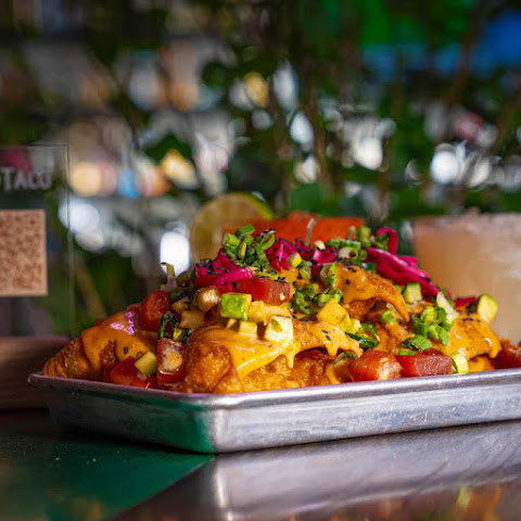 Wild Taco Denver - Berkeley by null