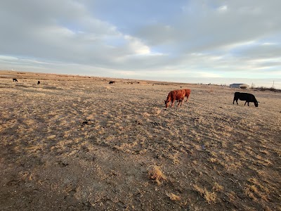 Lake Meredith Campground